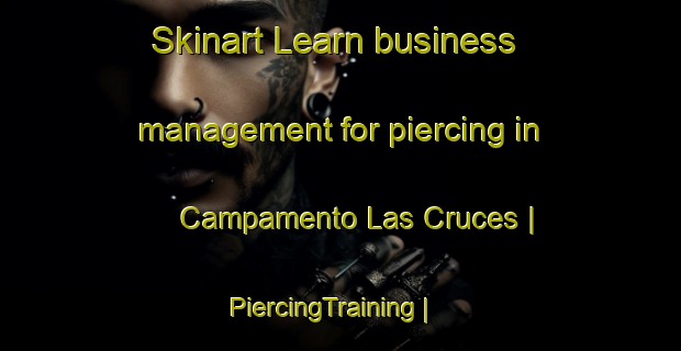 Skinart Learn business management for piercing in Campamento Las Cruces | PiercingTraining | PiercingClasses | SkinartTraining-Mexico